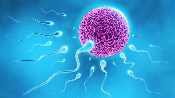 Volumul scăzut al spermei